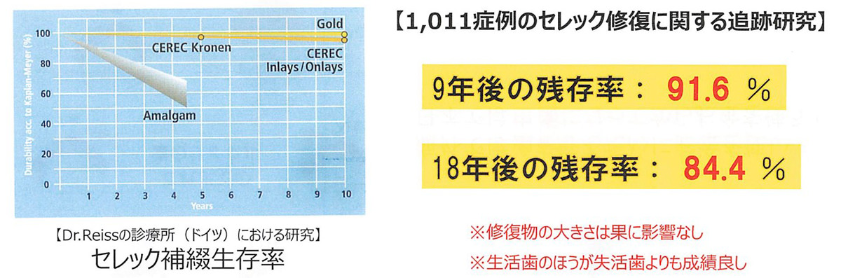 セレック残存率